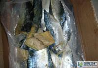優(yōu)質臺魚肉批發(fā) 去頭去尾，無刺淡干，多種規(guī)格可選